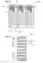 Fig. 04 - Liquid crystal display device