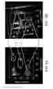 Fig. 06 - Controlling pulses in optical microscopy