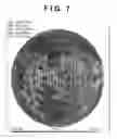 Fig. 09 - Evaluation apparatus and evaluation method