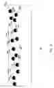 Fig. 08 - Light guide including optical scattering elements and a method of manufacture