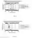 Fig. 06 - Polarizer and manufacturing method thereof