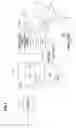 Fig. 02 - Head IC, read circuit, and media storage device
