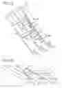 Fig. 11 - Support Platform for Electrical Components, and Module Comprising Said Support Platform