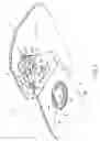 Fig. 04 - Cooling device and electronic device