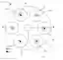 Fig. 01 - Light source comprising light-emitting clusters