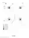 Fig. 04 - Light source comprising light-emitting clusters
