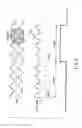 Fig. 04 - Wobble signal reading method and optical disk appratus