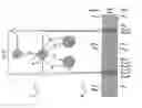 Fig. 01 - Signature checking using deterministic finite state machines