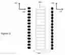 Fig. 07 - System and method for generating intense laser light from laser diode arrays