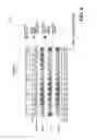 Fig. 05 - Method and apparatus for timing estimation in a wireless communications system