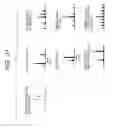 Fig. 20 - OFDM receiver and OFDM signal receiving method