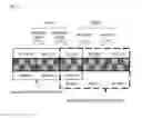 Fig. 06 - Device, method, and recording medium for embedding/detecting a digital watermark