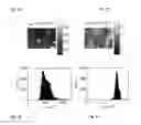 Fig. 07 - Method and apparatus for performing qualitative and quantitative analysis of produce (fruit, vegetables) using spatially structured illumination