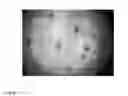 Fig. 09 - Method and apparatus for performing qualitative and quantitative analysis of produce (fruit, vegetables) using spatially structured illumination