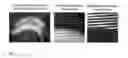 Fig. 10 - Method and apparatus for performing qualitative and quantitative analysis of produce (fruit, vegetables) using spatially structured illumination