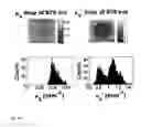 Fig. 16 - Method and apparatus for performing qualitative and quantitative analysis of produce (fruit, vegetables) using spatially structured illumination