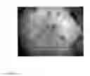Fig. 22 - Method and apparatus for performing qualitative and quantitative analysis of produce (fruit, vegetables) using spatially structured illumination