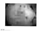 Fig. 26 - Method and apparatus for performing qualitative and quantitative analysis of produce (fruit, vegetables) using spatially structured illumination