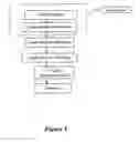 Fig. 02 - Non-Contact Optical Means And Method For 3D Fingerprint Recognition