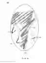 Fig. 08 - Systems and methods of subtraction angiography utilizing motion prediction