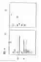 Fig. 04 - Method for checking an imprint and imprint checking device