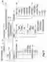Fig. 13 - Arc tool user interface