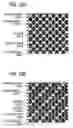 Fig. 13 - Image generation apparatus, computer readable medium, computer data signal, information generation method, information reading system, electronic pen and recording medium