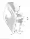 Fig. 09 - Multi-fiber ferrule with guard fiber