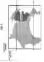 Fig. 07 - Image forming apparatus and fixing device