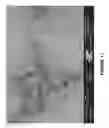 Fig. 12 - SINTERED BODIES FOR EARTH-BORING ROTARY DRILL BITS AND METHODS OF FORMING THE SAME