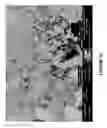 Fig. 13 - SINTERED BODIES FOR EARTH-BORING ROTARY DRILL BITS AND METHODS OF FORMING THE SAME