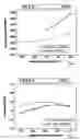 Fig. 02 - Steel alloy for cutting tools