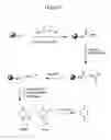 Fig. 14 - Methods compositions and kits pertaining to analyte determination
