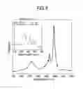 Fig. 07 - Single-wall carbon nanotube heterojunction