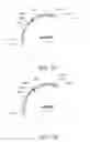 Fig. 06 - Polynucleotides encoding alpha toxin proteins