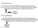 Fig. 01 - Compositions and methods for the preparation of human growth hormone glycosylation mutants