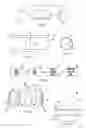 Fig. 02 - Quick Dissolve Medicament and Method of Manufacturing