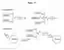 Fig. 32 - Modified Human Growth Hormone