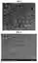 Fig. 05 - Method for dispersing nanoparticles and methods for producing nanoparticle thin films by using the same