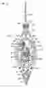 Fig. 01 - Decorating with a lighted device