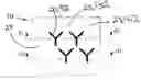 Fig. 01 - Absorbent paper product having non-embossed surface features