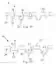 Fig. 05 - Absorbent paper product having non-embossed surface features