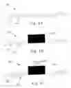 Fig. 07 - Absorbent paper product having non-embossed surface features