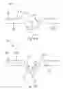 Fig. 08 - Absorbent paper product having non-embossed surface features