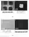 Fig. 04 - Controlled Release of a Curing Agent for the Generation of Microstructures