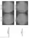 Fig. 04 - Silicon wafer for IGBT and method for producing same