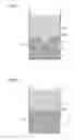 Fig. 05 - Method for producing dust core compact and dust core compact