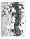 Fig. 06 - Platinum group bond coat modified for diffusion control