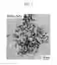 Fig. 02 - Catalyst for cathode of fuel cell, preparing method and fixing method thereof, and fuel cell including same