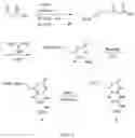 Fig. 06 - Compositions including polymers aligned via interchain interactions